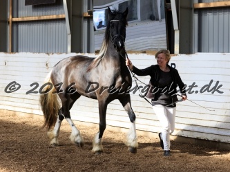 Freikje fan Stald Barok 032