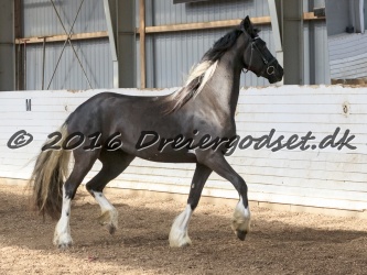 Freikje fan Stald Barok 035