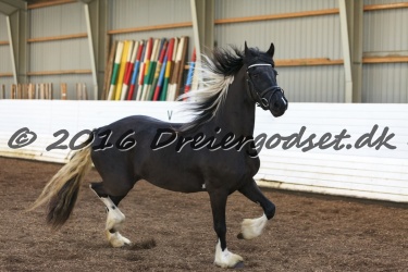 Freikje fan Stald Barok 048