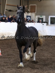Freikje fan Stald Barok 060