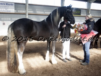 Freikje fan Stald Barok 065