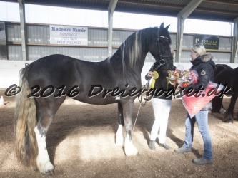 Freikje fan Stald Barok 066