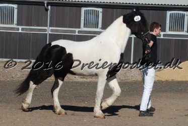 Musica Af Kashede 003