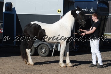 Musica Af Kashede 004