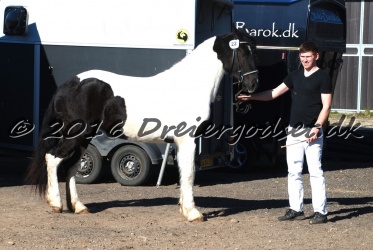 Musica Af Kashede 005