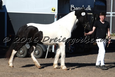 Musica Af Kashede 006