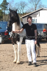 Musica Af Kashede 008