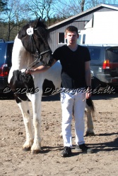 Musica Af Kashede 009