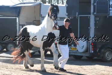 Musica Af Kashede 010