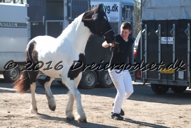 Musica Af Kashede 011