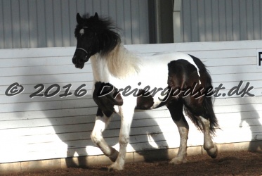 Musica Af Kashede 014