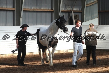 Musica Af Kashede 017