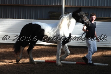 Musica Af Kashede 018