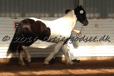 Musica Af Kashede 019