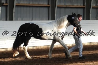 Musica Af Kashede 021