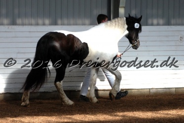 Musica Af Kashede 022