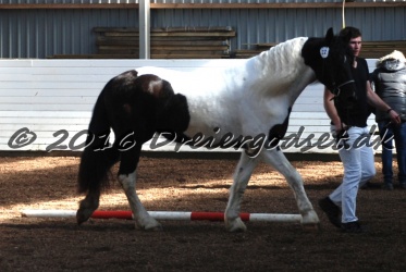 Musica Af Kashede 023