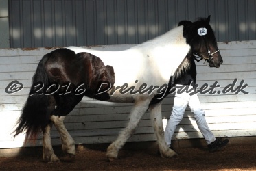 Musica Af Kashede 025