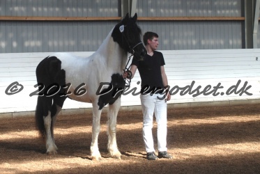 Musica Af Kashede 026