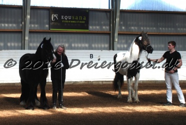 Musica Af Kashede 027