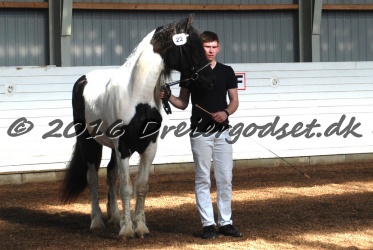 Musica Af Kashede 028