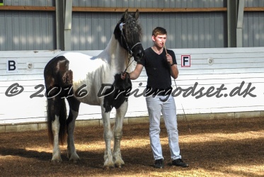 Musica Af Kashede 029