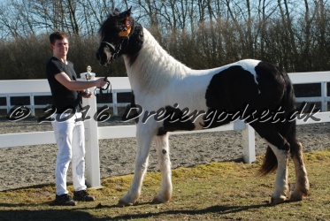 Musica Af Kashede 031