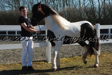 Musica Af Kashede 032