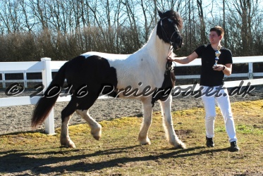 Musica Af Kashede 034