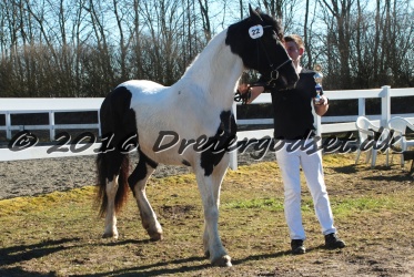 Musica Af Kashede 035