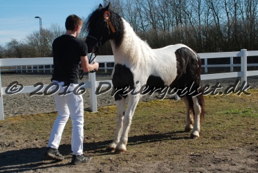 Musica Af Kashede 036