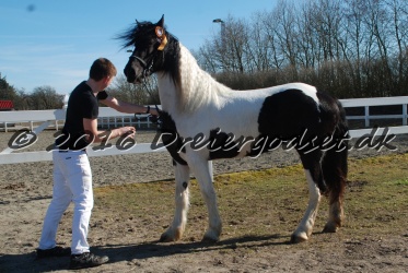 Musica Af Kashede 037