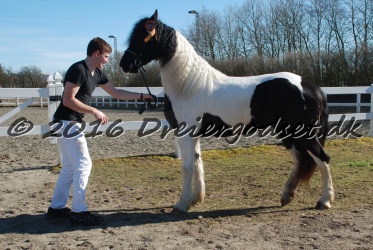 Musica Af Kashede 038