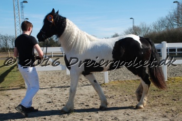 Musica Af Kashede 044