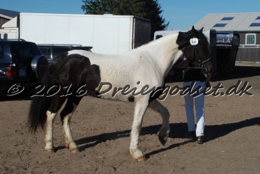 Musica Af Kashede 045