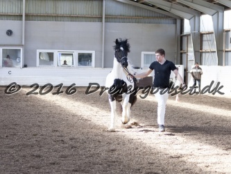 Musica Af Kashede 046