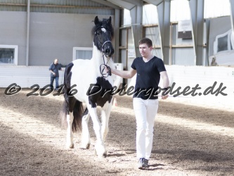 Musica Af Kashede 047