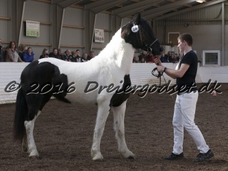 Musica Af Kashede 049