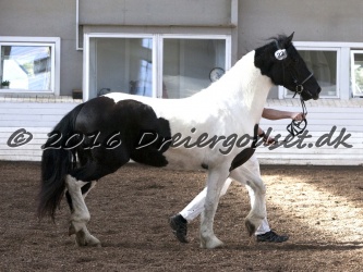 Musica Af Kashede 050