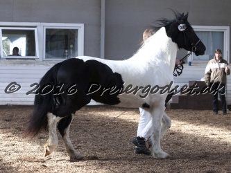 Musica Af Kashede 052