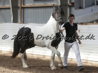 Musica Af Kashede 053