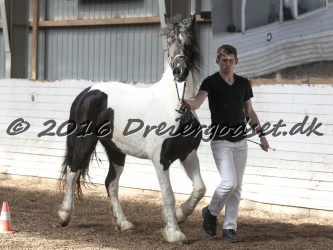 Musica Af Kashede 054