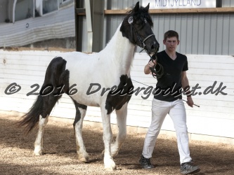 Musica Af Kashede 056