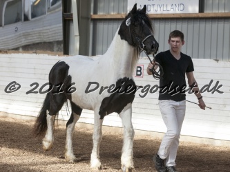 Musica Af Kashede 057