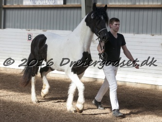 Musica Af Kashede 058