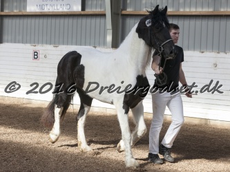 Musica Af Kashede 059