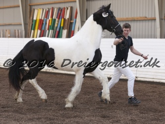 Musica Af Kashede 060