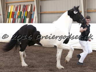 Musica Af Kashede 061