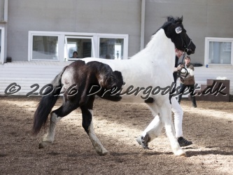 Musica Af Kashede 062