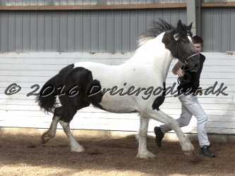 Musica Af Kashede 063